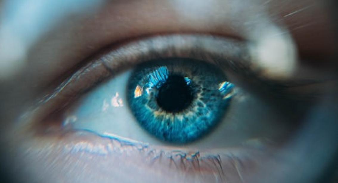 oog