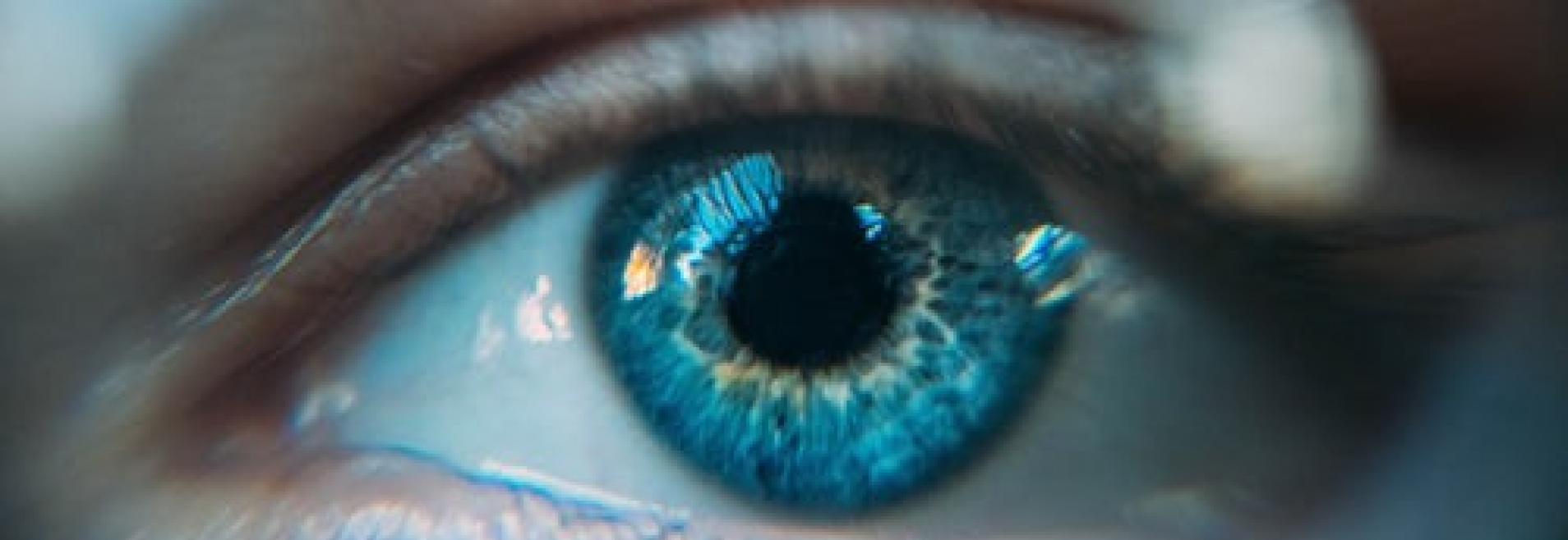 oog