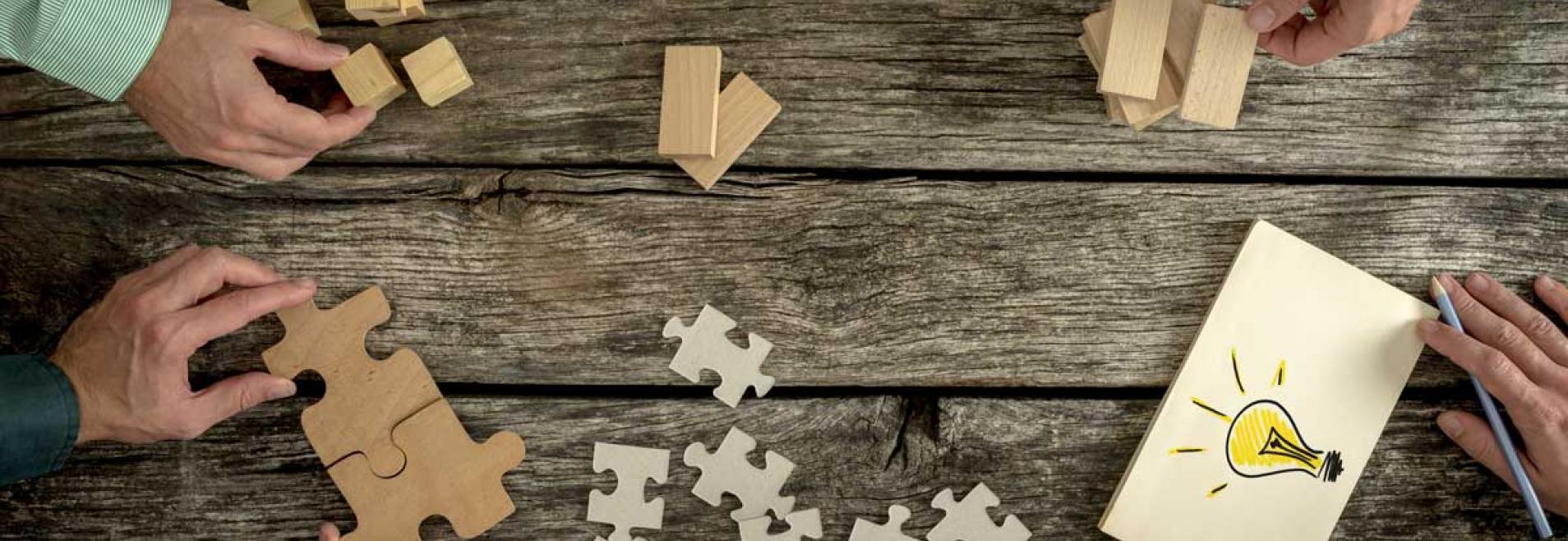 interim programma management